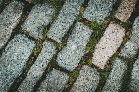 Regímenes de Neutro: Esquemas TT, TN e IT, Cuadro ...