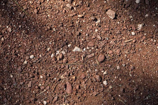 Comparación entre esquemas de conexión para el ...