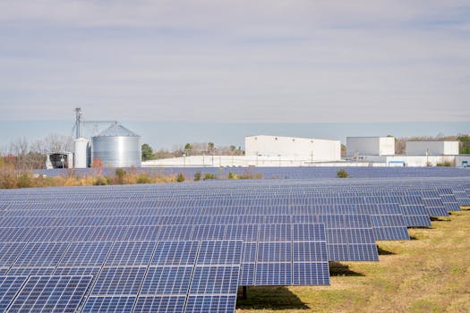 Cómo calcular cuántos paneles solares necesitas según tu ...