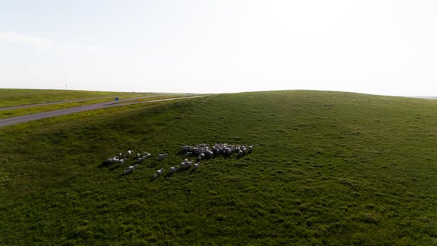 Cómo instalar termostatos y cronotermostatos ...
