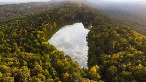 Dominio del cableado del termostato de la bomba ...