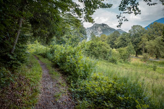 Protectores de sobretensión transitoria en corriente continua