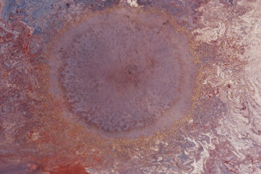 Medición de Armónicos y Límites THD (IEC 61000 / IEEE ...