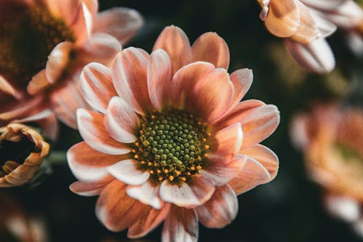 El estampado floral está de moda y en Zara y Mango he ...