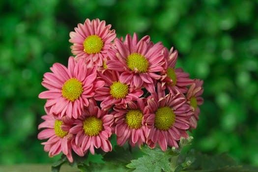 El color rosa bailarina es la nueva obsesión de las ...